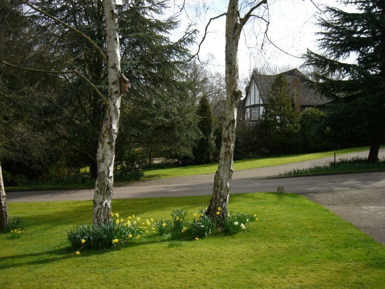 A Colourful Garden in Bishops Road